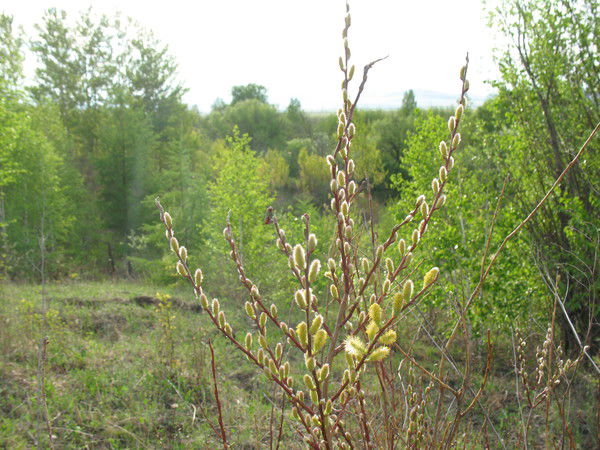 Юлия Парыгина