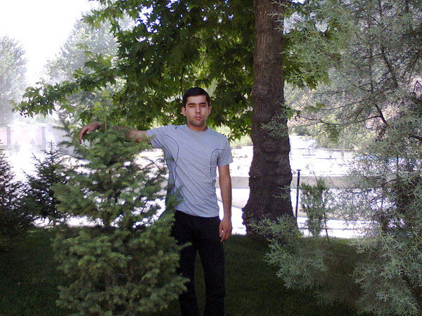 Фирдавс Холов