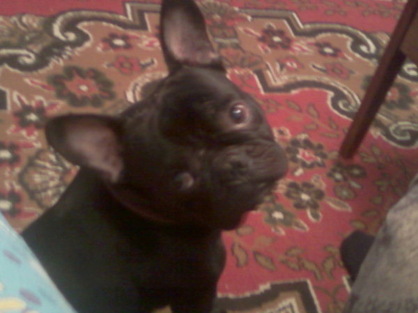 Надежда Попова