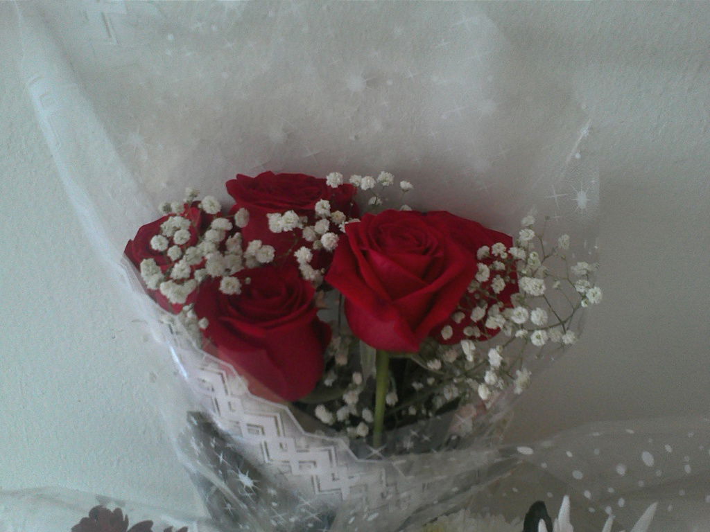 Татьяна Бархатова