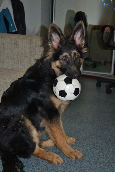 Ната Вишнякова