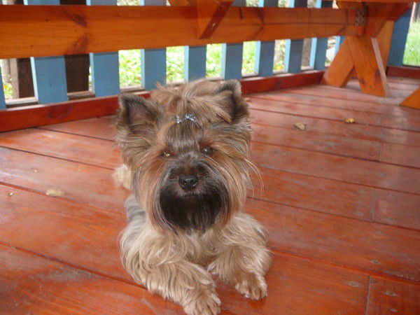 Юлия Жаворонкова