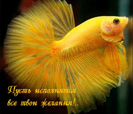 Жайдар Бейсетаева