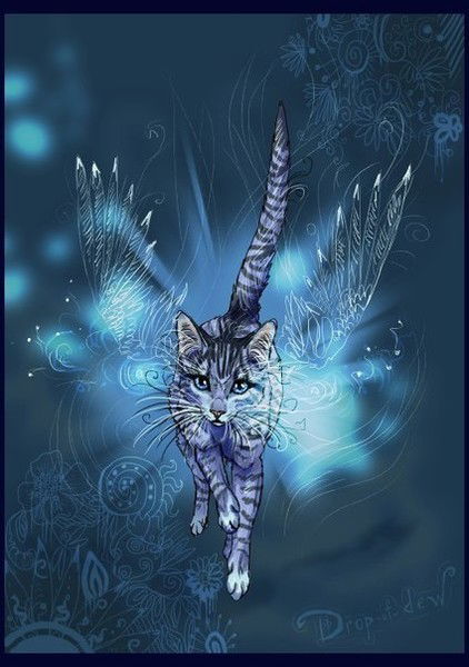 Когтистая Кошечка