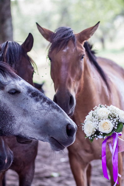 Валентина Щавинская