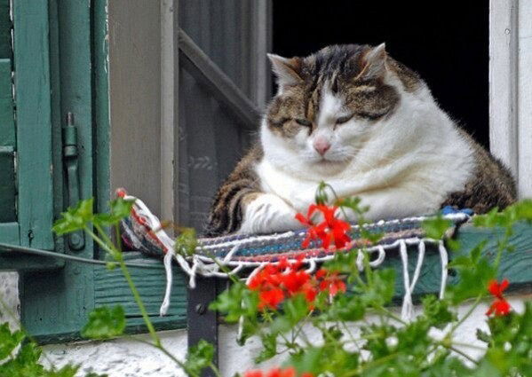 Игорь А_Зачем_Вам?