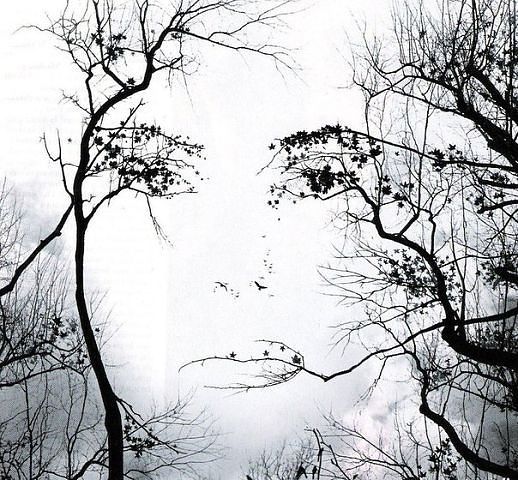 Что круче мед мать его или малина мать ее