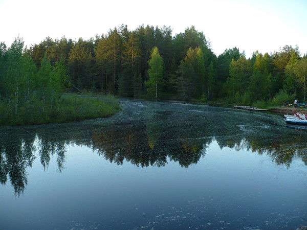 Aркадий Цой