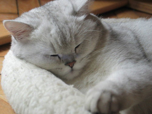 Евгений Кубасов