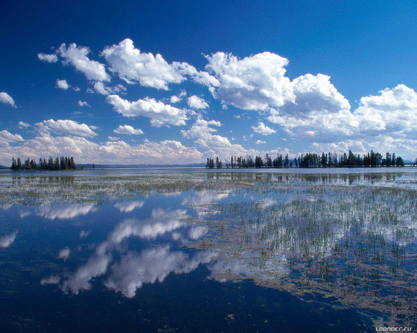 Лариса Филимонова