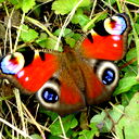 Татьяна Дядюн