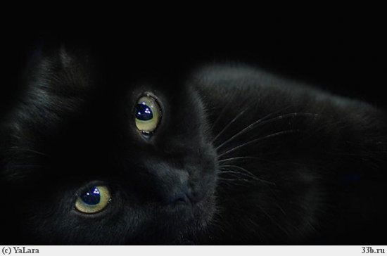 Анастасия Артемьева