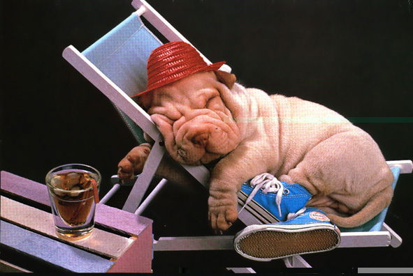 Алекс Моржуев