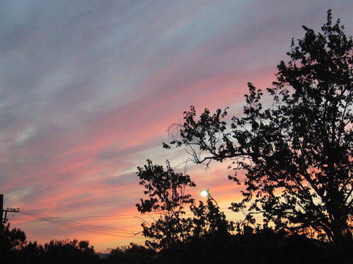 Татьяна Белинская