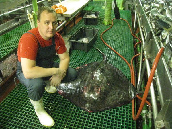 Денис Прозоров