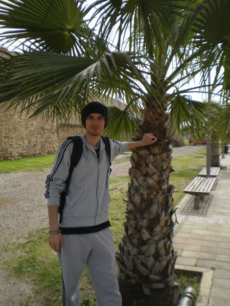 Максим Соколенко