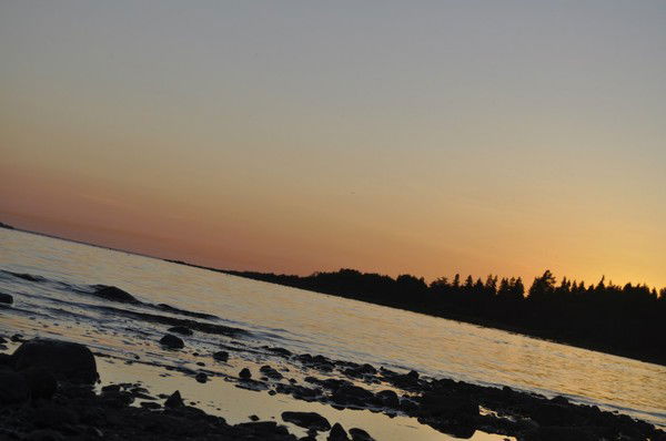 Альмира Каримова