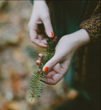 Анна Шульгина