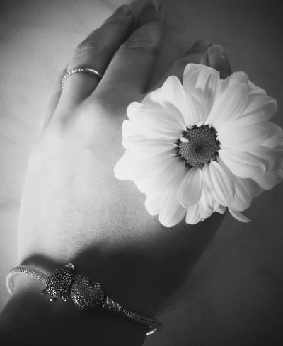 Хорошая Девушка