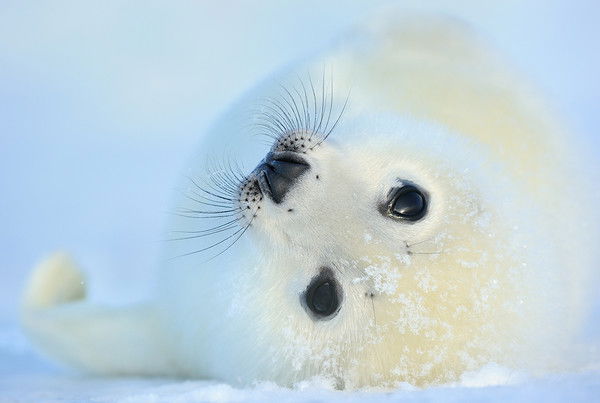 Айнур Алтыбаева