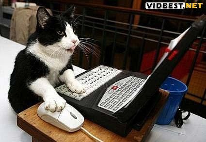 Александр Хомяк