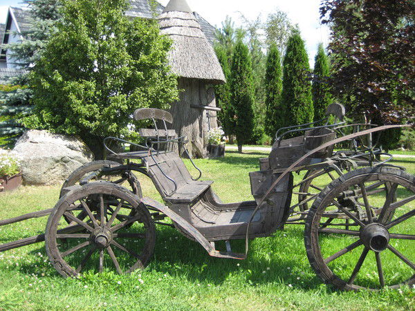 Елена Киселева