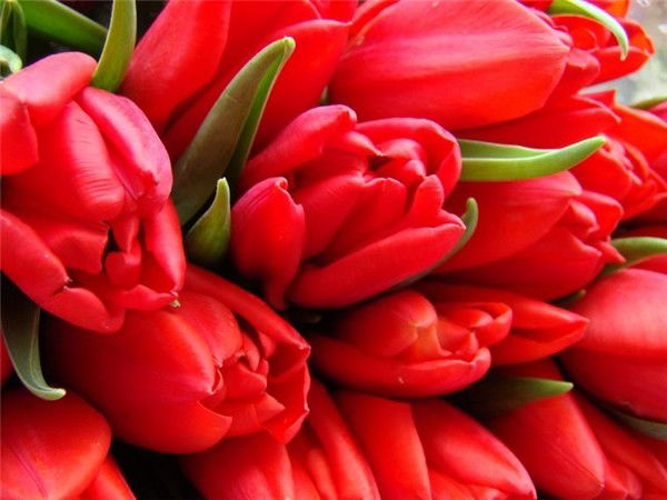 Татьяна Татьянова