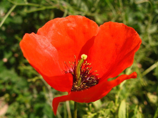 Неизвестно Неизвестно