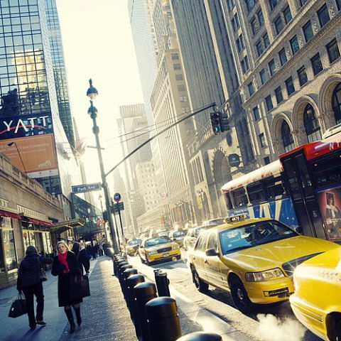 Анна Некрасова