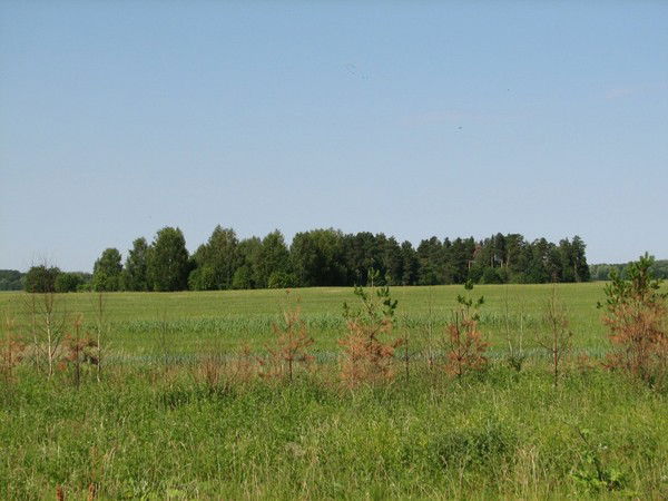 Валерий Ильич Лашин