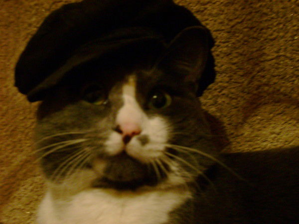 Лизавета Анципович