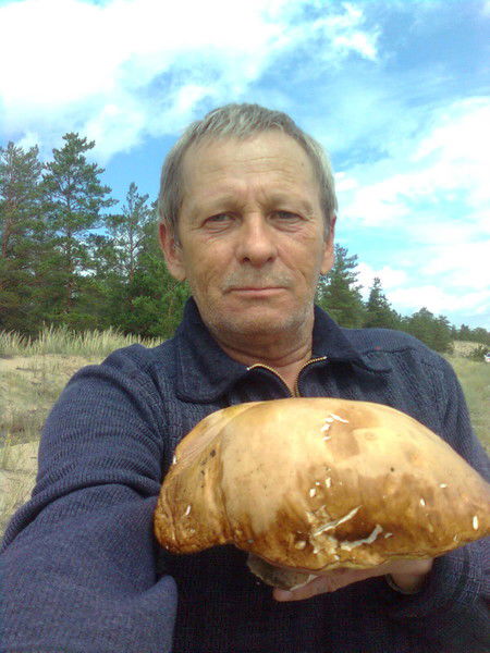 Юрий Устенко