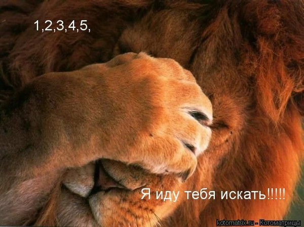 Руслан Куртяков