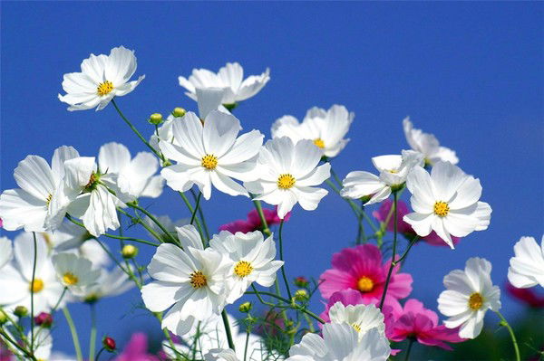 Лилия Салтыкова