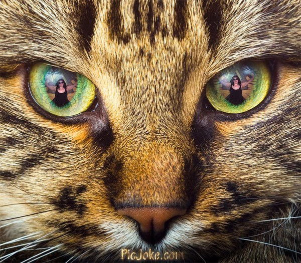 Оксана Антропова