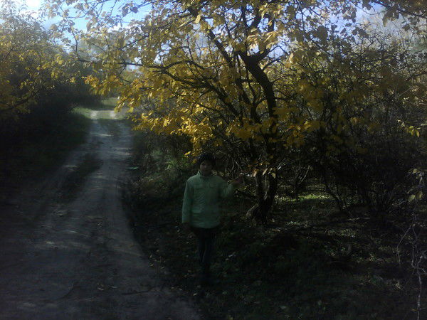 Дмитрий Потапов