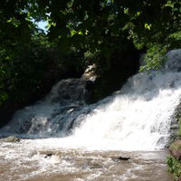 Ирина Скворцова