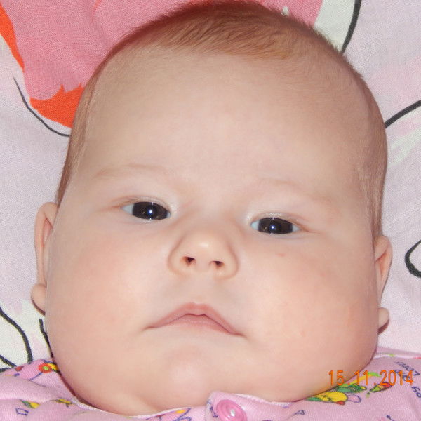 Николай Болдырев