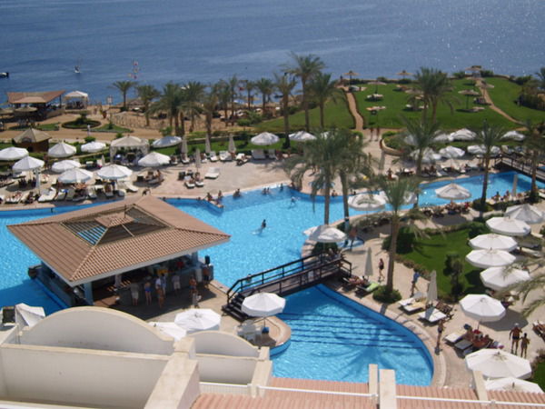 Николай Цвигуненко