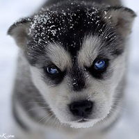 Анастасия Белова