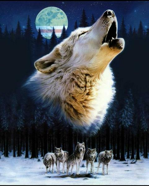 Абрам Шниерсон