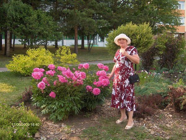 Светлана Шкода