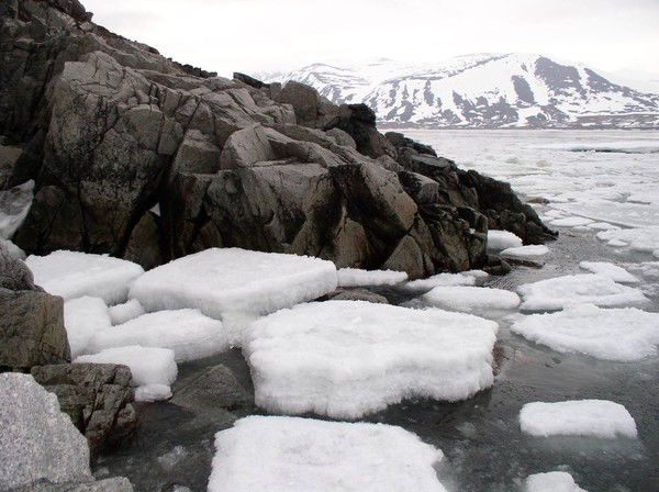 Инна Громова