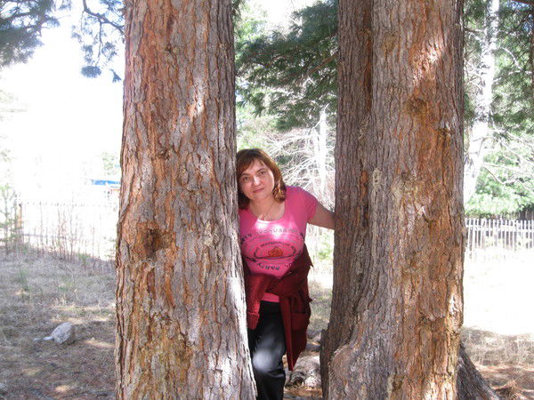 Елена Шерстобитова