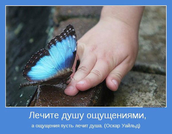 Душа Я Это Концепция