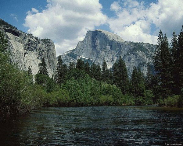 Наталья Сальникова
