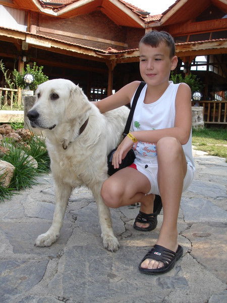 Тимур Ситдиков