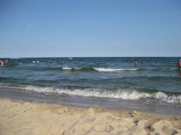 Ирина Пешехонова