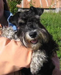 Ирина Побужаева