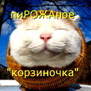 Катя Лунь